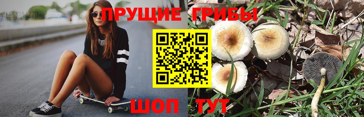 Галлюциногенные грибы ЛСД  Вход с VPN  продажа наркотиков  Балабаново 